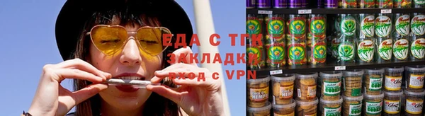 твердый Гусев