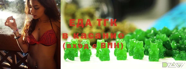 твердый Гусев