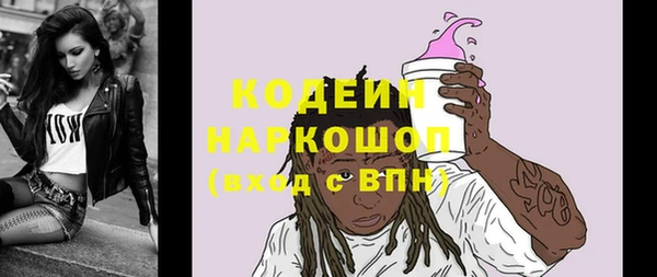 твердый Гусев