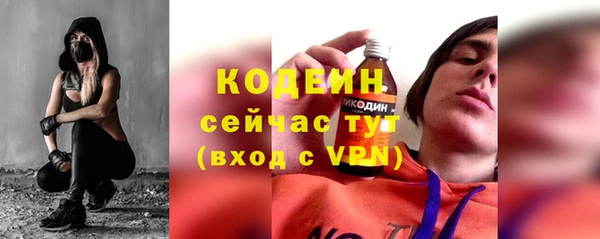 твердый Гусев
