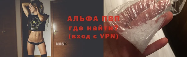 твердый Гусев
