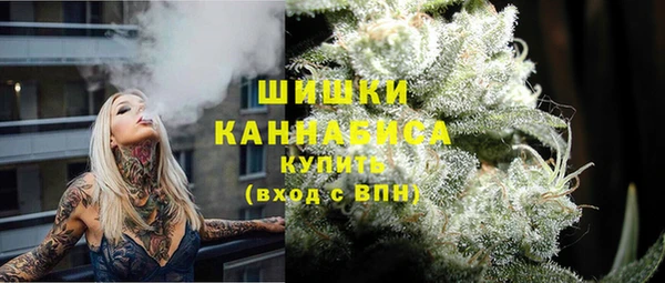 твердый Гусев
