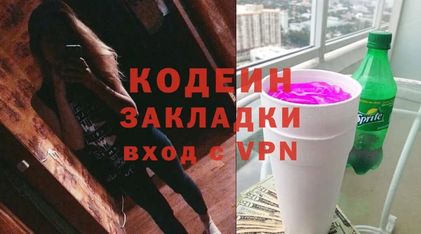 твердый Гусев