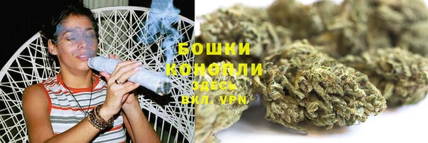 шишки Гусь-Хрустальный