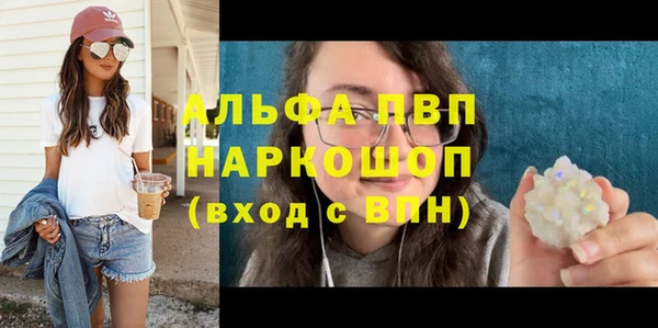 шишки Гусь-Хрустальный