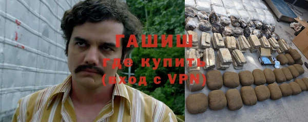 твердый Гусев