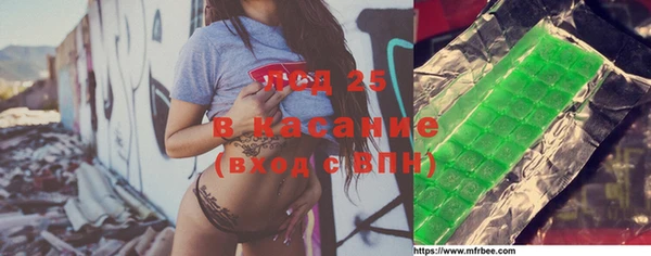 твердый Гусев