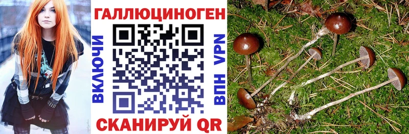 МЕГА сайт  Луховицы  Псилоцибиновые грибы Psilocybe 